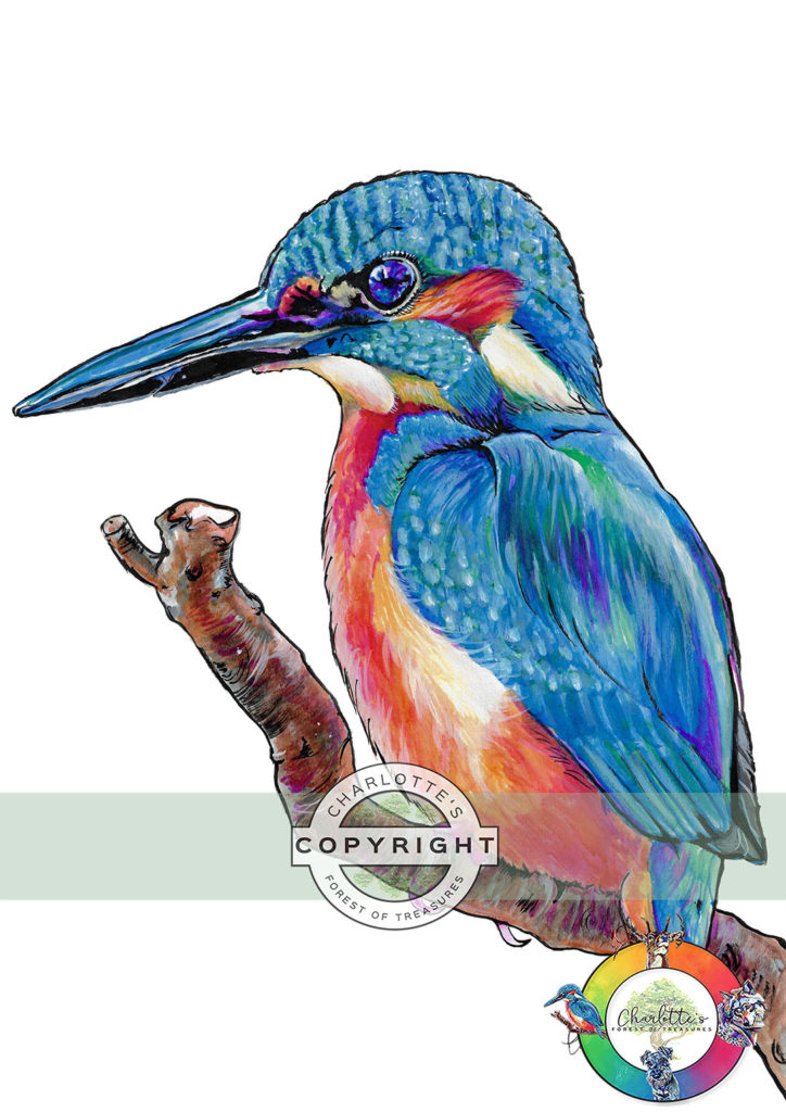 Kingfisher_wm