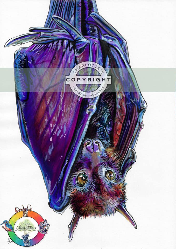 Bat
