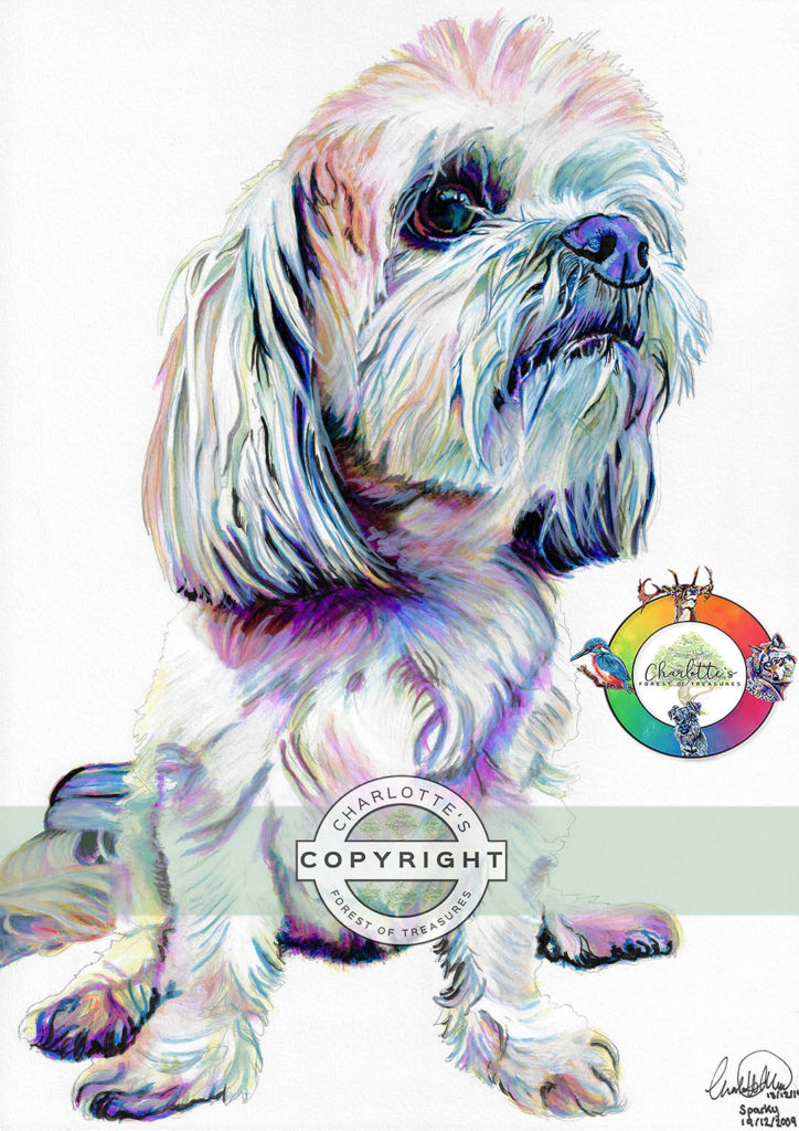 dog10_wm