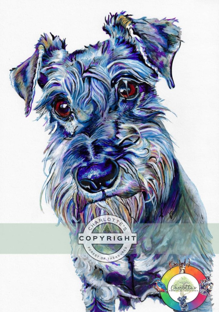 dog3