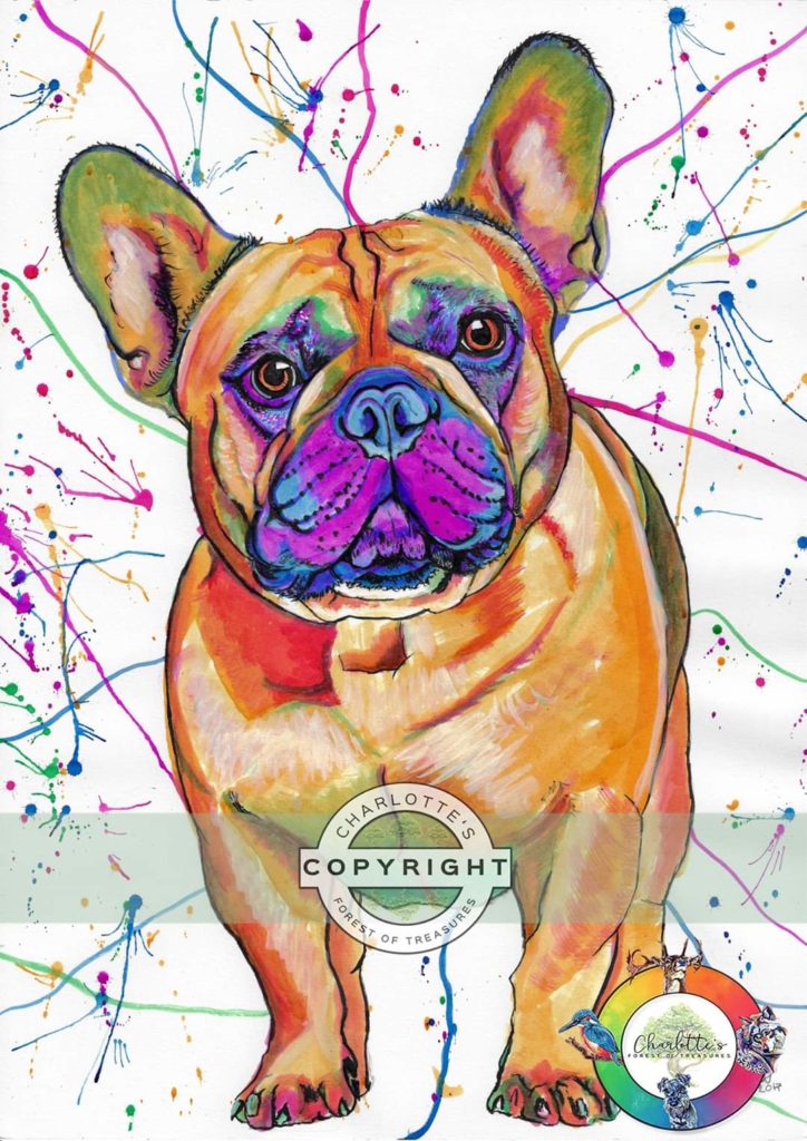 dog4