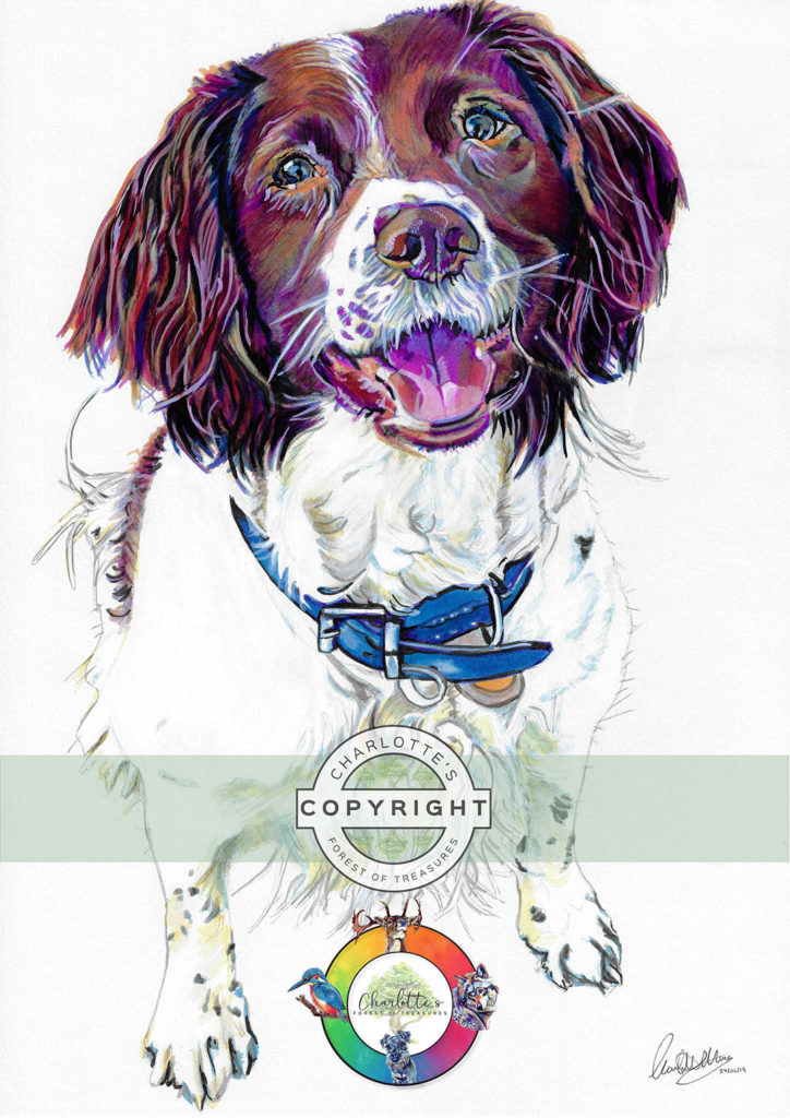 dog6_wm