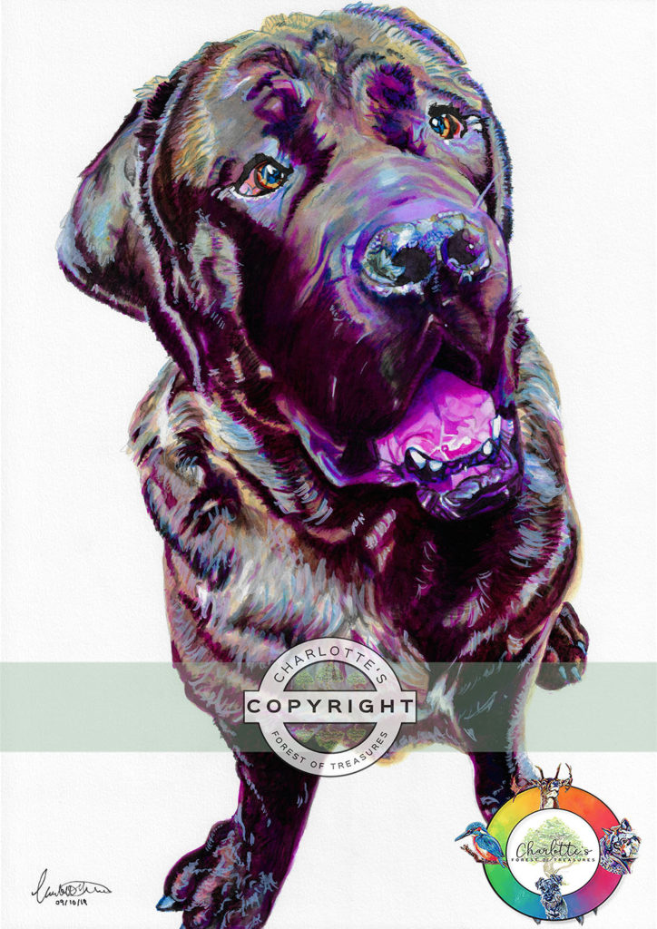 dog7_wm