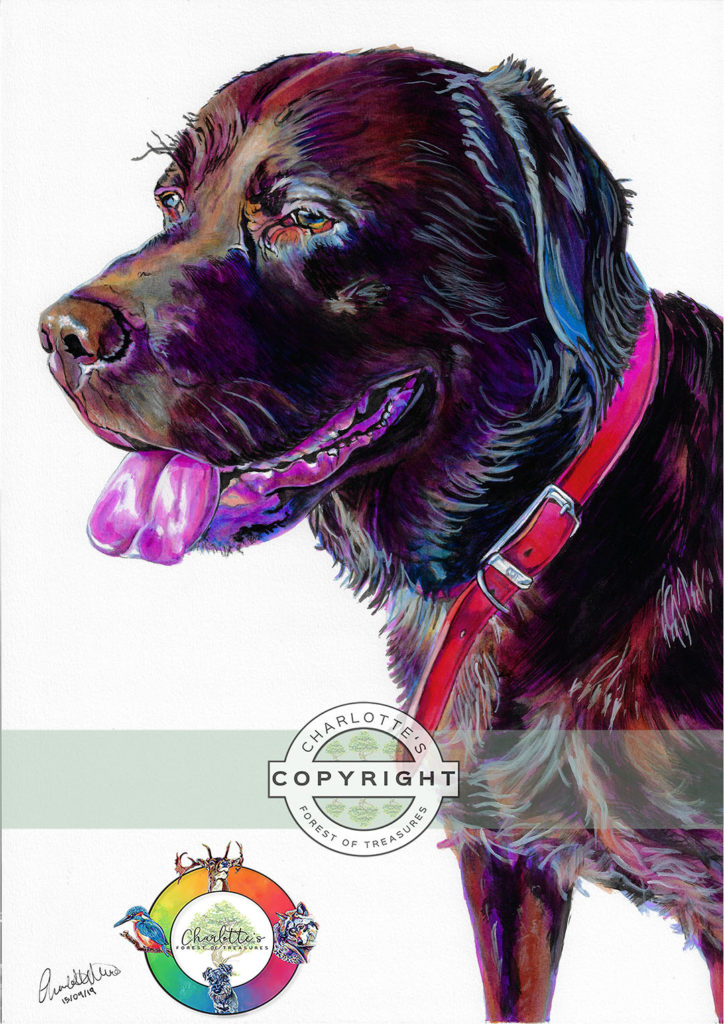 dog8_wm
