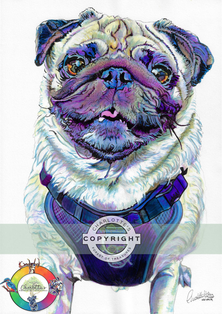 dog9_wm