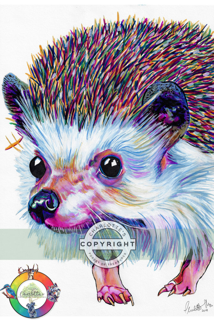 Hedgehog